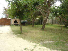 la golondrina